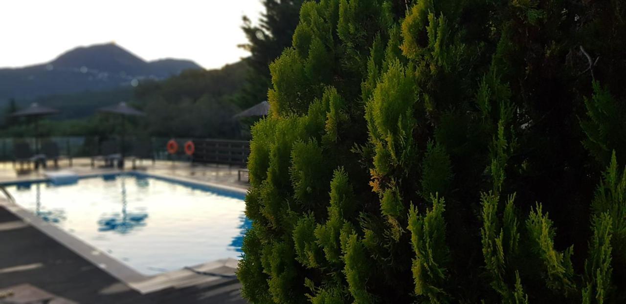 Diogenis Parga Studios Eksteriør bilde